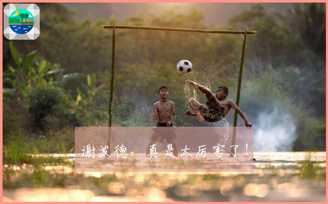 谢泼德，真是太厉害了！